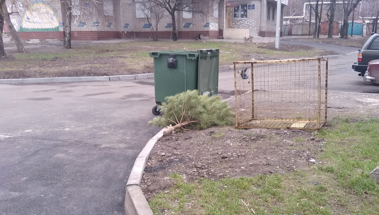 Жители Днепра начали выбрасывать новогод…