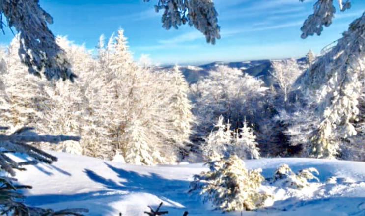 Настоящая зима: Как фантастически заснеж…