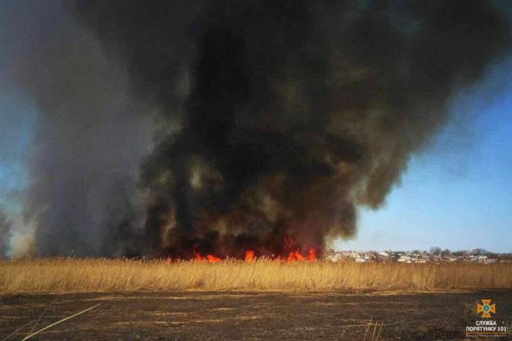 Неподалеку от Тернополя горит трава на д…