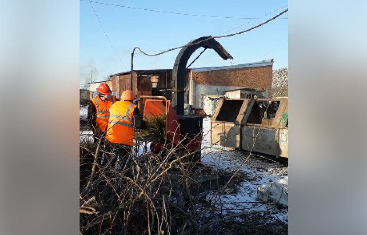 Новорічні ялинки хмельничан зігріють без…