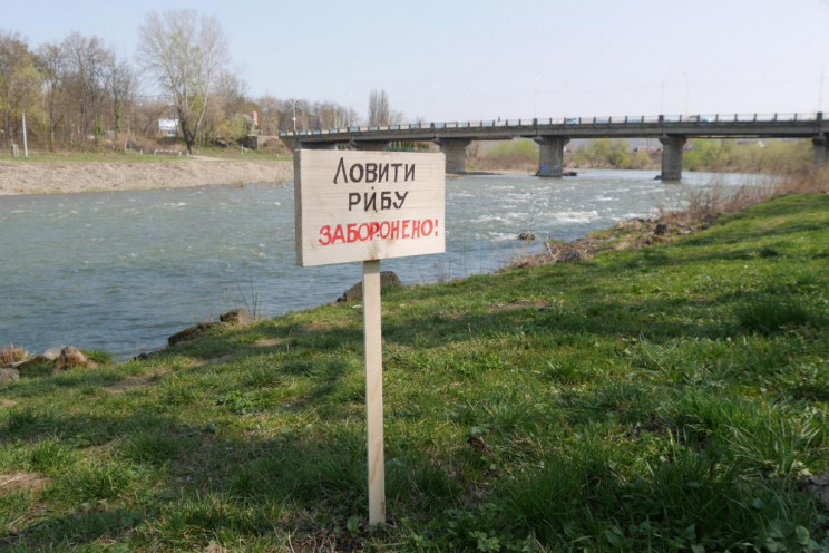 В Ужгороді заборонили риболовлю на "злач…