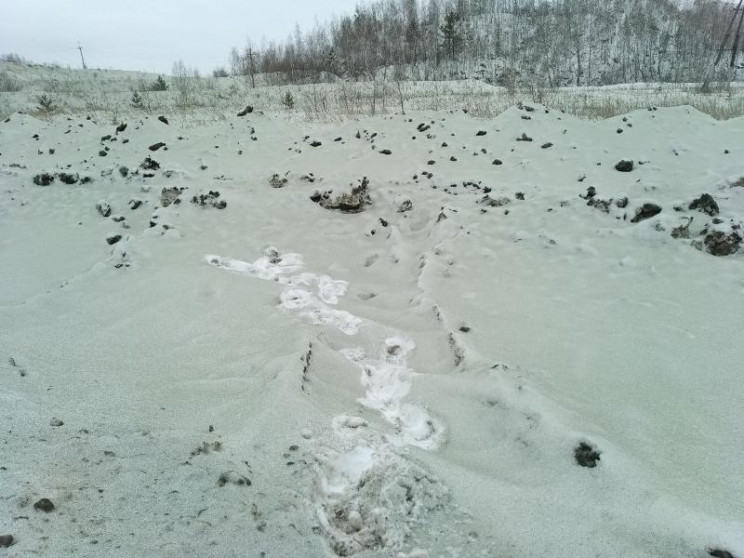 Россию засыпало зеленым снегом…