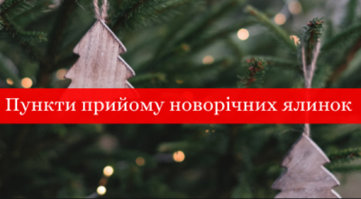 Куди франківцям викинути новорічну ялинк…