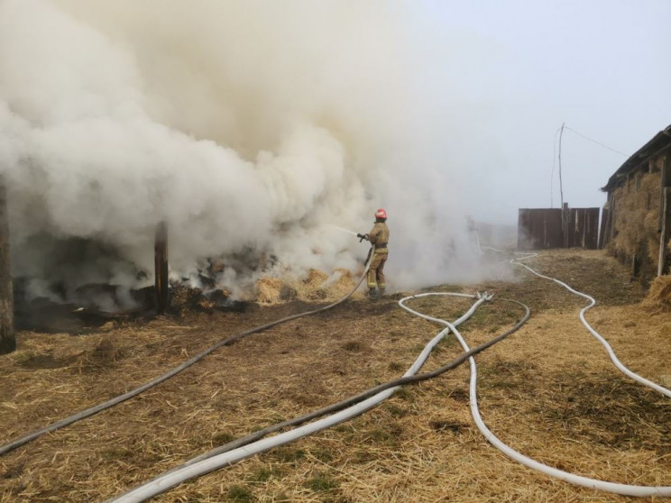 В Овидиопольском районе сгорело 2,5 тонн…