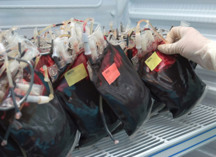 Мешканців Бердянська просять здати кров…