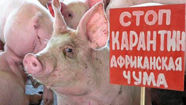 На кордоні з Кубанню зафіксовано спалах…
