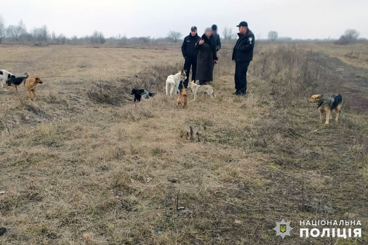 У Старокостянтинові застрелили собаку з…