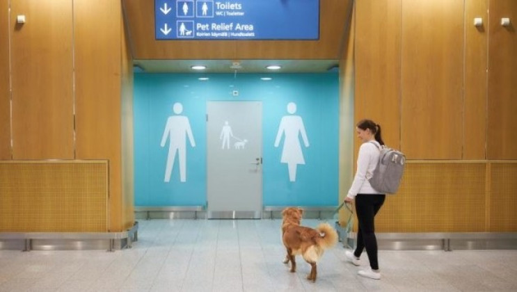 Туалеты для собак обустроили в аэропорту…