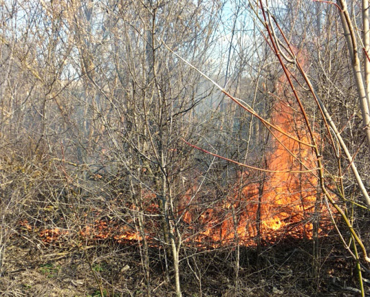 Під Полтавою у Верхолах рятувальники лік…