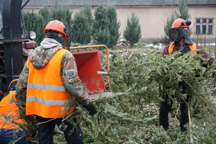В Ужгороде 10 тысяч новогодних елок изме…