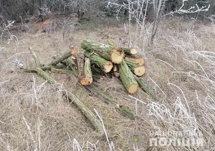 У Запорізькому районі затримали дві банд…