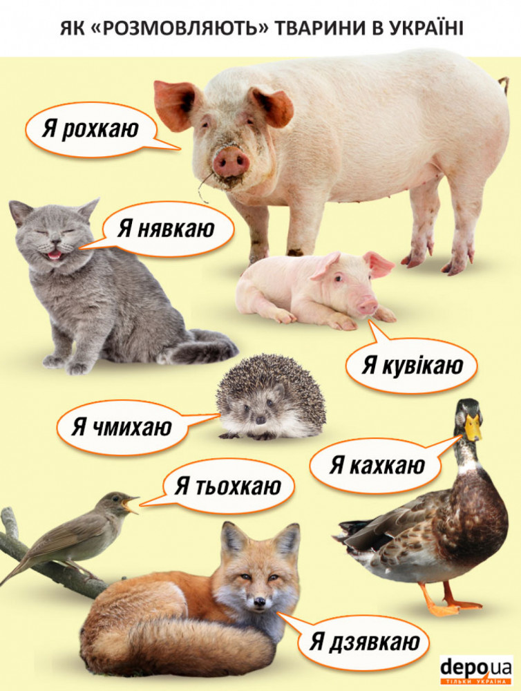 Як розмовляють тварини в Україні. Інфографіка 