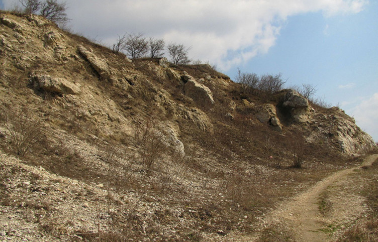 Вовчинецькі гори