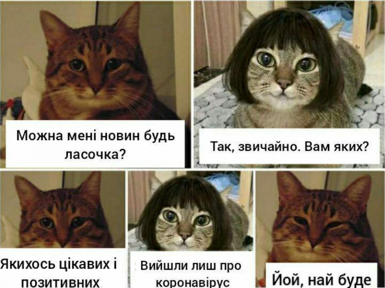 Результат пошуку зображень за запитом коронавірус прикол