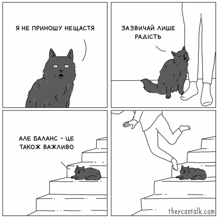 мем про чорного кота