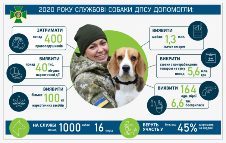 Как натаскивают собак на наркотики Как натаскивают собак на наркотики конопля текстура