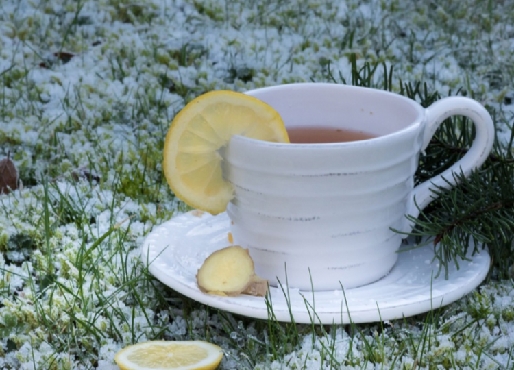 Имбирный чай с лимоном и медом помогает вылечить простуду