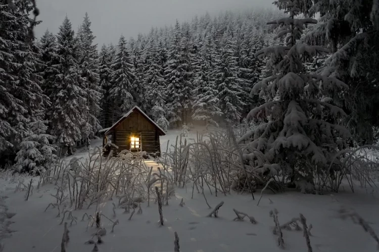 сніг і будинок