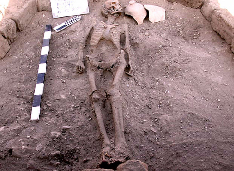 скелет человека найден на раскопках в египте