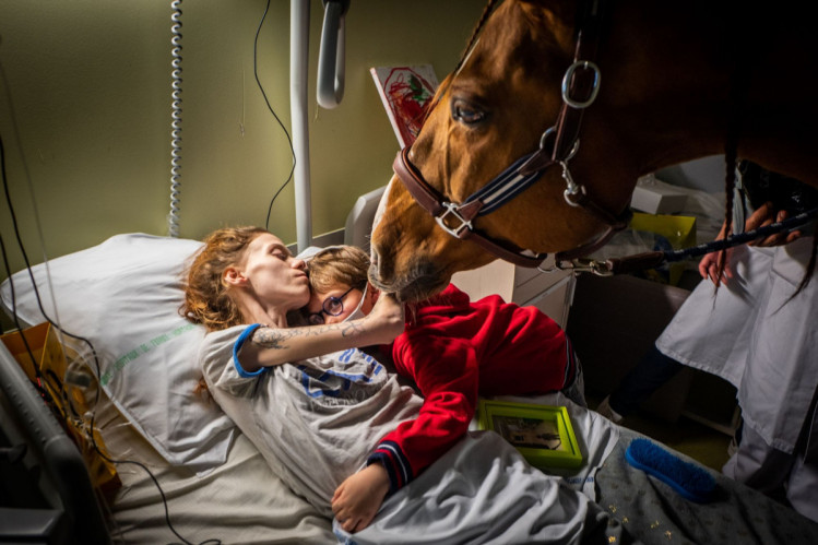 лошадь смотрит на женщину, которая умирает от рака