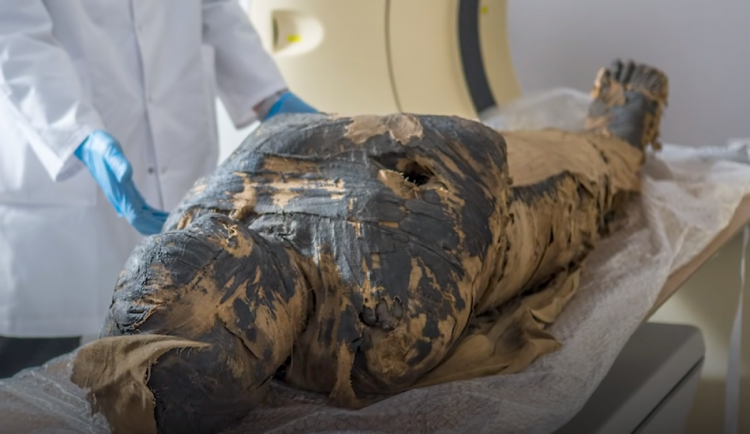 Археологи знайшли першу в світі мумію вагітної жінки
