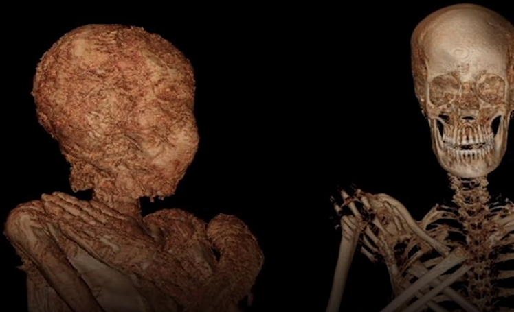Вчені вперше у світі знайшли мумію вагітної