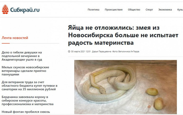 заголовок про змію