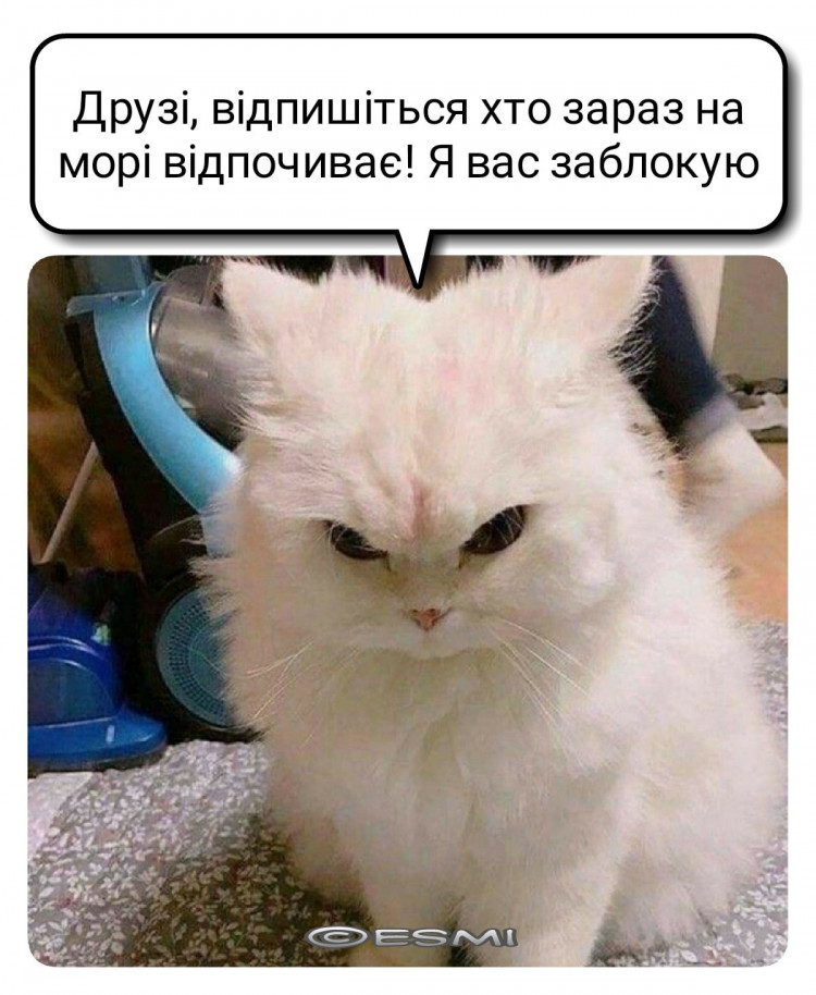 мем про море