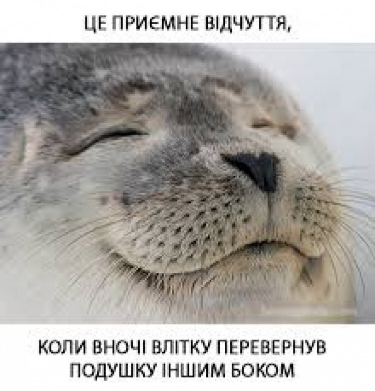 мем про подушку влітку