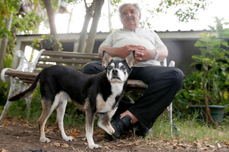 президент Уругвая Хосе Мухика и его собака