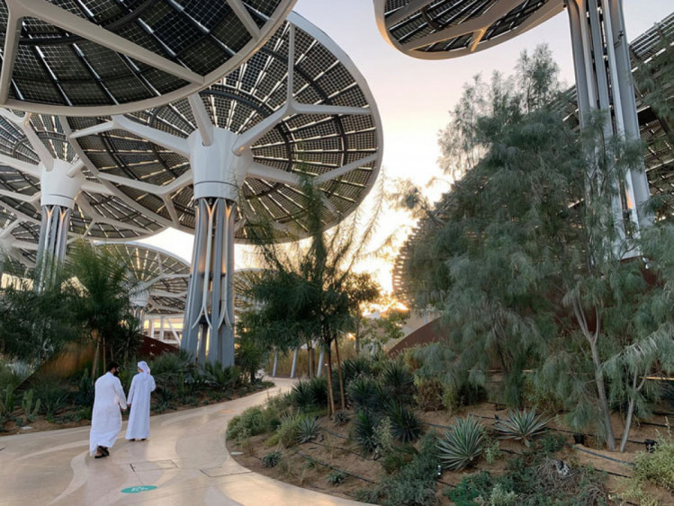 Terra, павильон устойчивого развития, Dubai Expo 2020