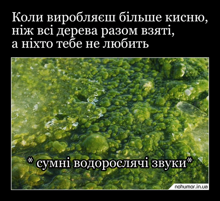 Мем про водорості