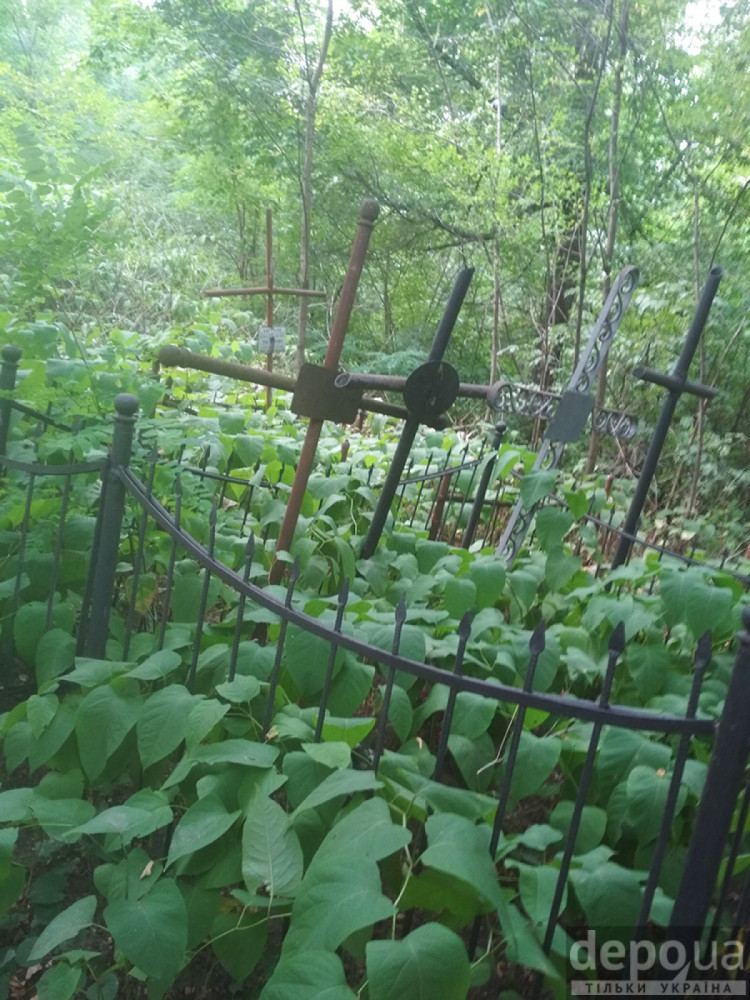 соломянське кладовище перетворюється на ліс