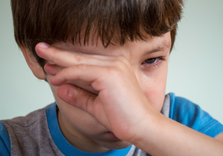 ребенок плачет после посещения детсада