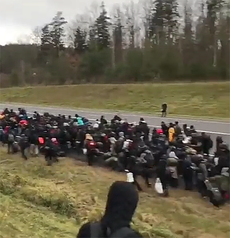 колонна мигрантов в Беларуси идет к пограничному пункту "Брузги" на границе с Польшей