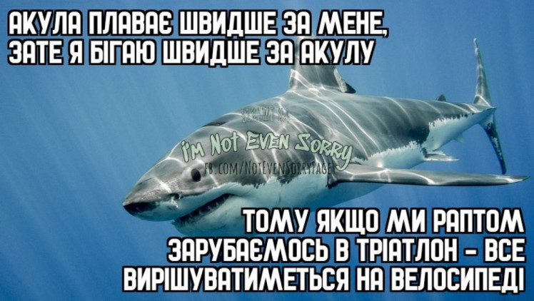 Мем про акулу