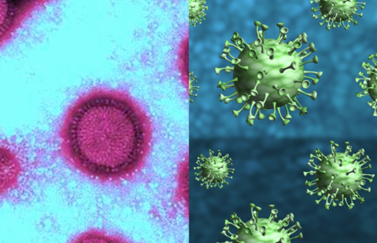 вирус гриппа и коронавируса