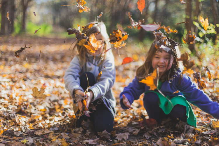 Дети и листья