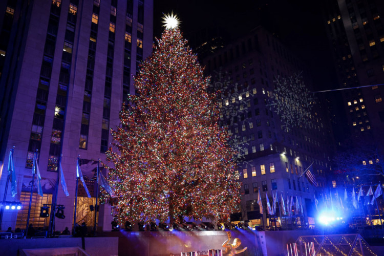 новогодняя елка в Нью Йорке