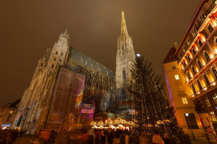 новогодняя елка в Вене