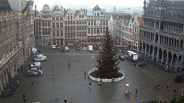 новогодняя елка в Брюсселе