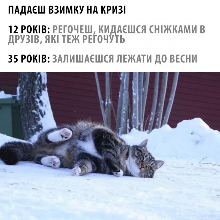 мем про старість і котика