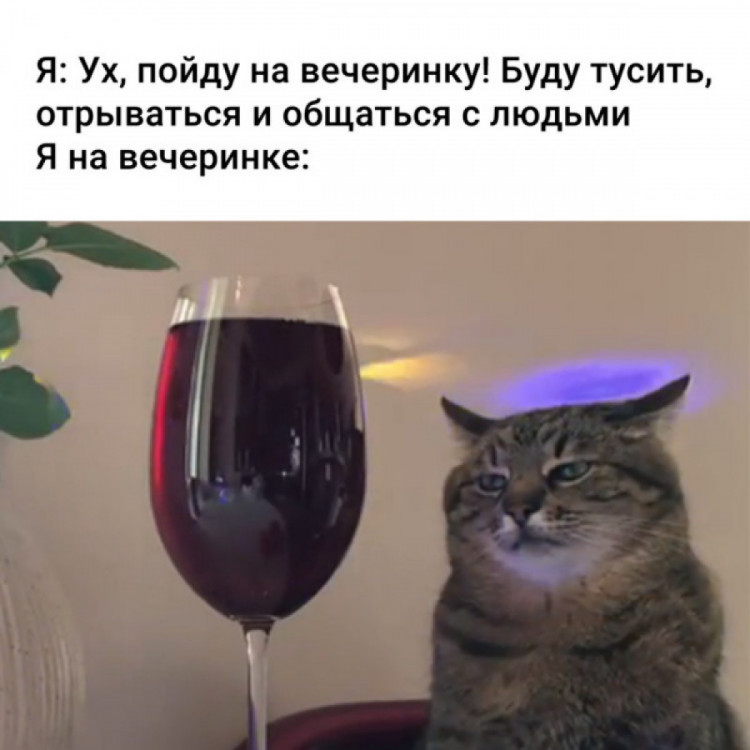 Мем про кота Степана