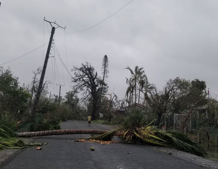 поваленные деревья в результате циклона бацирай на мадагаскаре