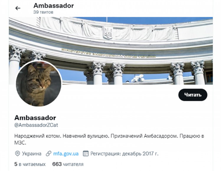 твиттер кота министерства иностранных дел