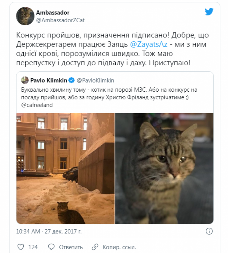 климкин нашел кота