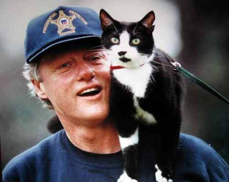 Білл Клінтон з котом