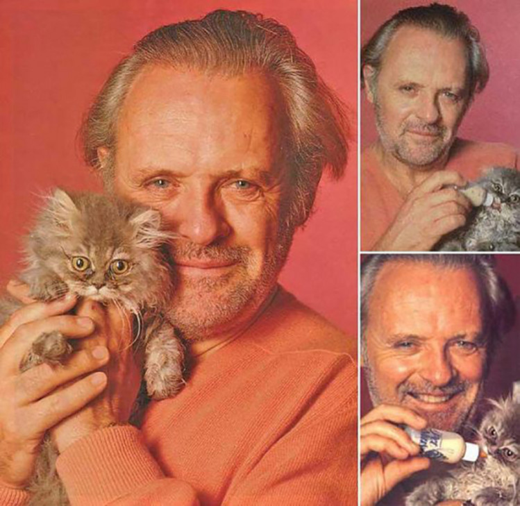 Энтони Хопкинс с котом