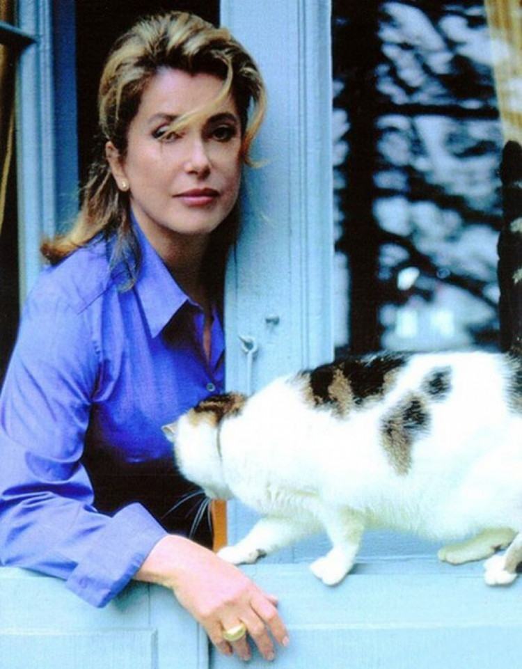 Катрін Денєв та її кішка