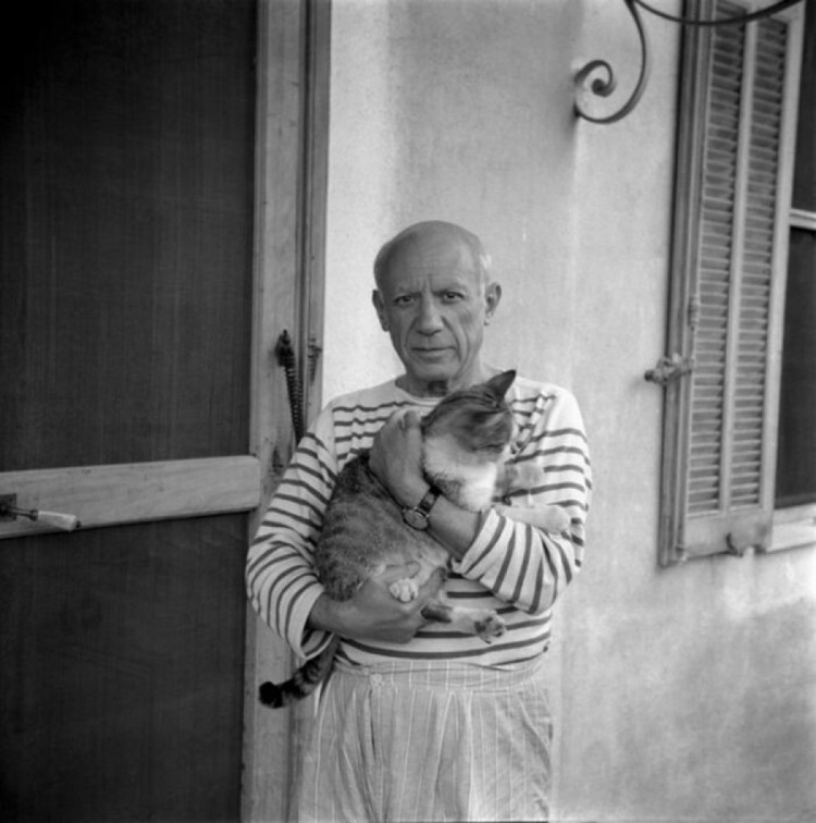 Пабло Пикассо и кот
